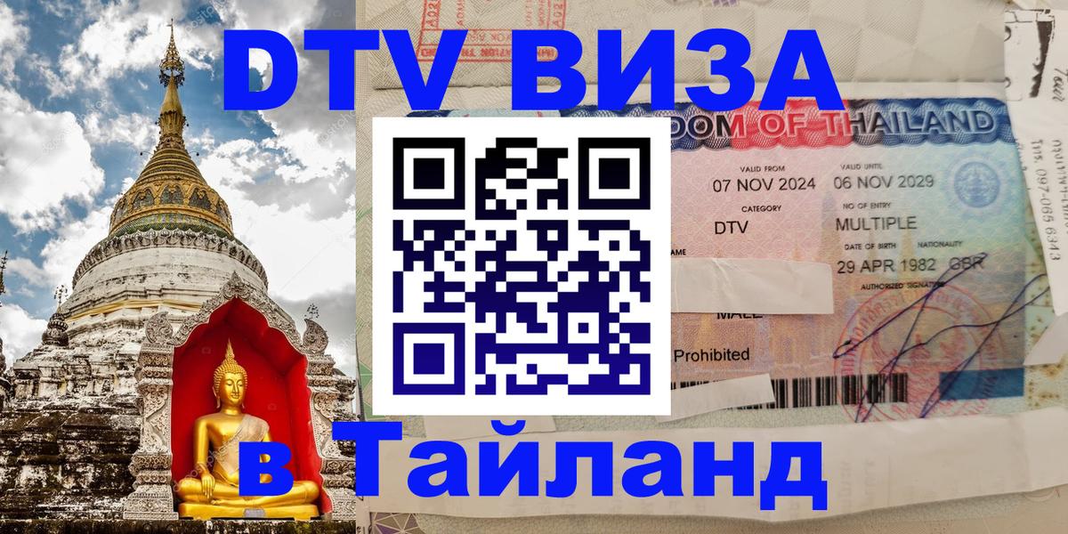 Оформление DTV визы под ключ: стоимость и тарифы, только загранпаспорт - 